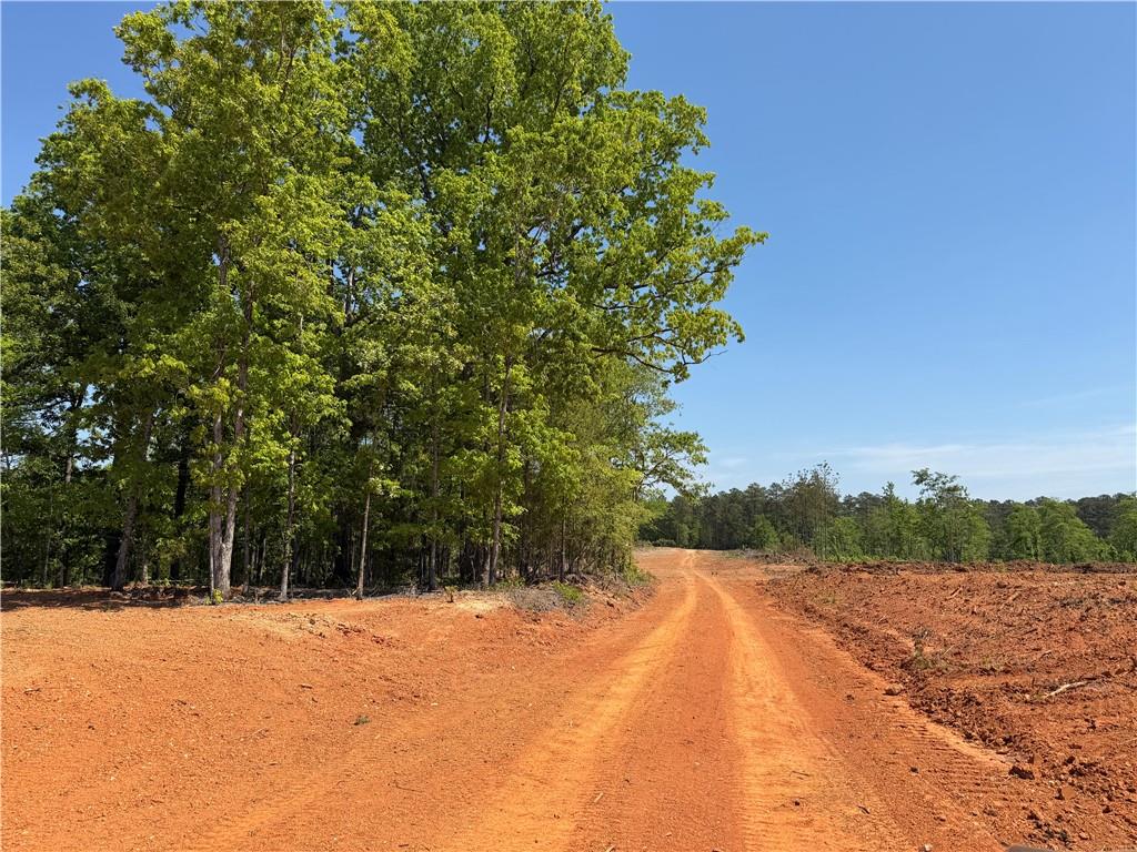 1000 Hidden Harbor Road Lincolnton GA 30817