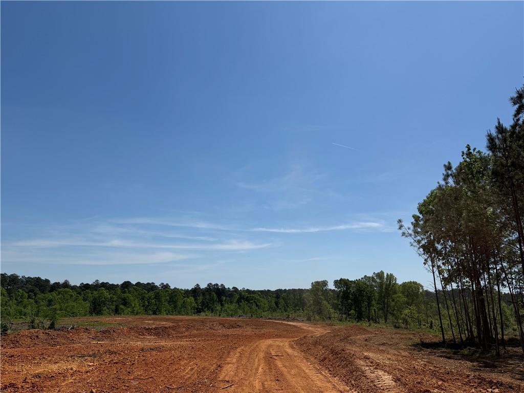 1000 Hidden Harbor Road Lincolnton GA 30817