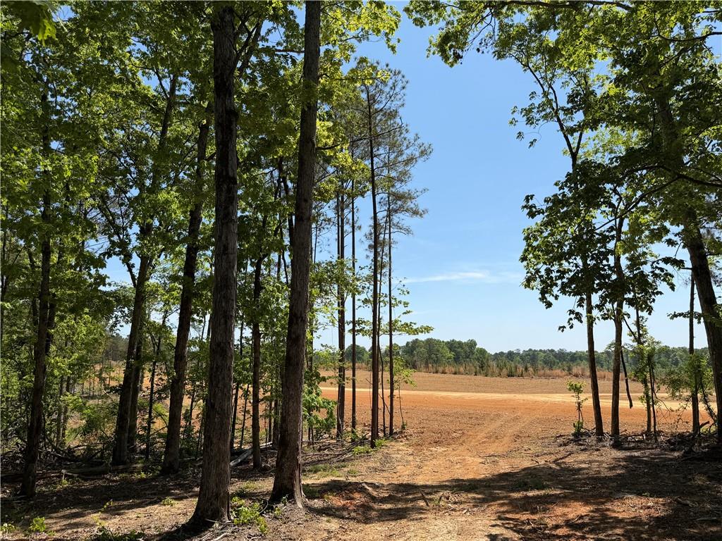 1000 Hidden Harbor Road Lincolnton GA 30817