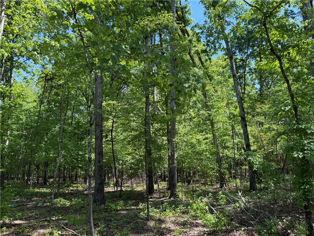1000 Hidden Harbor Road Lincolnton GA 30817