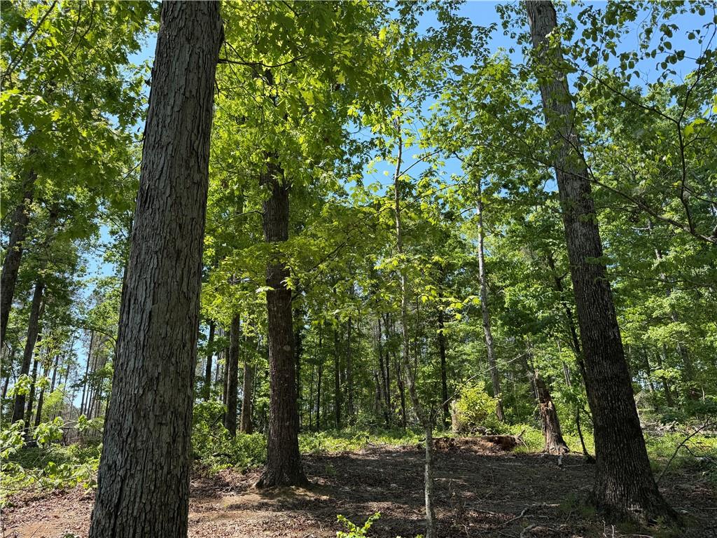 1000 Hidden Harbor Road Lincolnton GA 30817