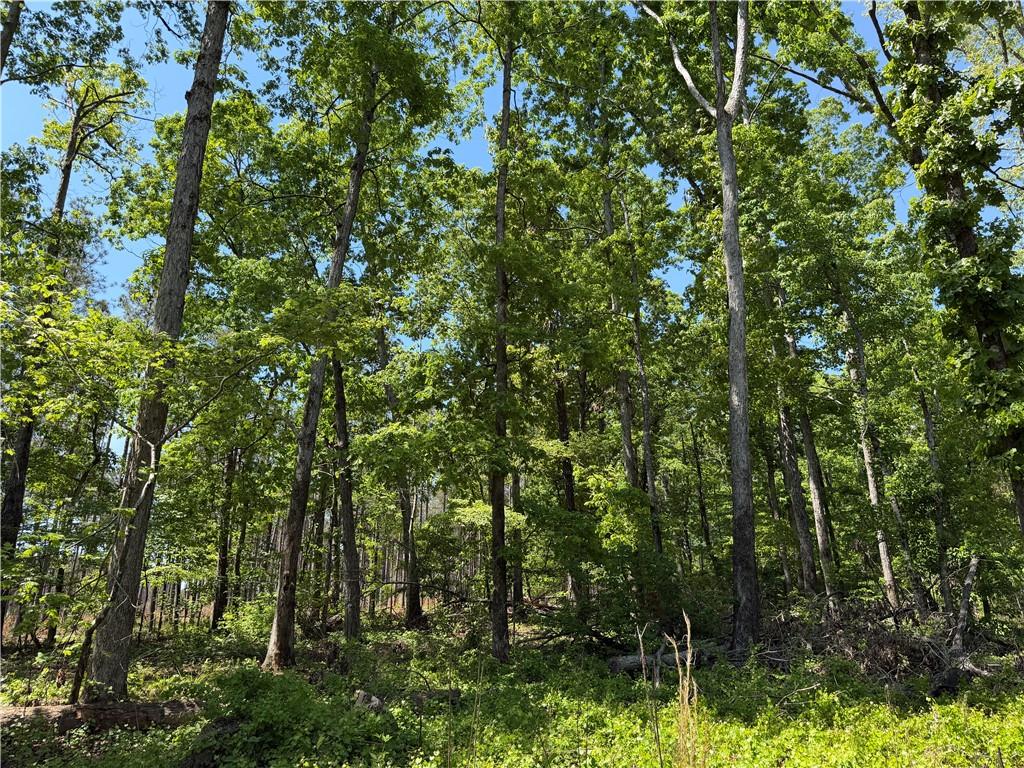 1000 Hidden Harbor Road Lincolnton GA 30817