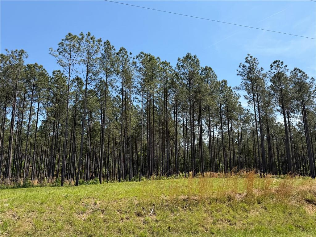 1000 Hidden Harbor Road Lincolnton GA 30817