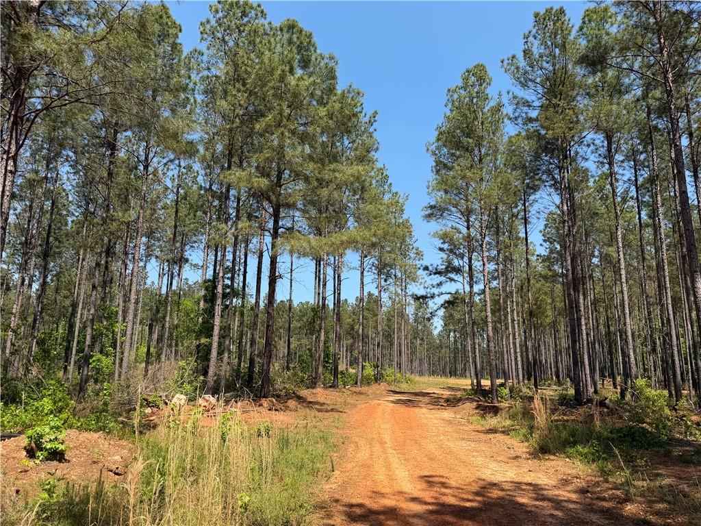 1000 Hidden Harbor Road Lincolnton GA 30817
