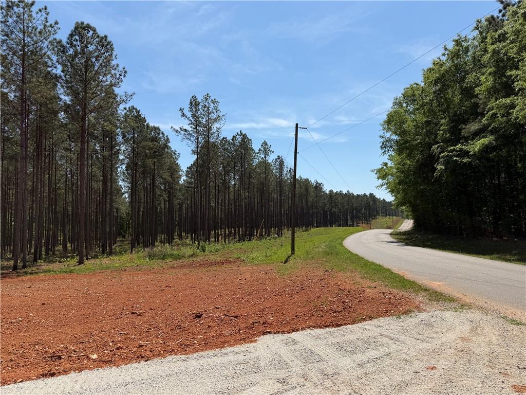 1000 Hidden Harbor Road Lincolnton GA 30817
