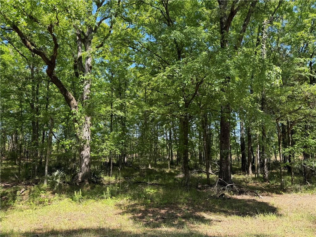 1000 Hidden Harbor Road Lincolnton GA 30817