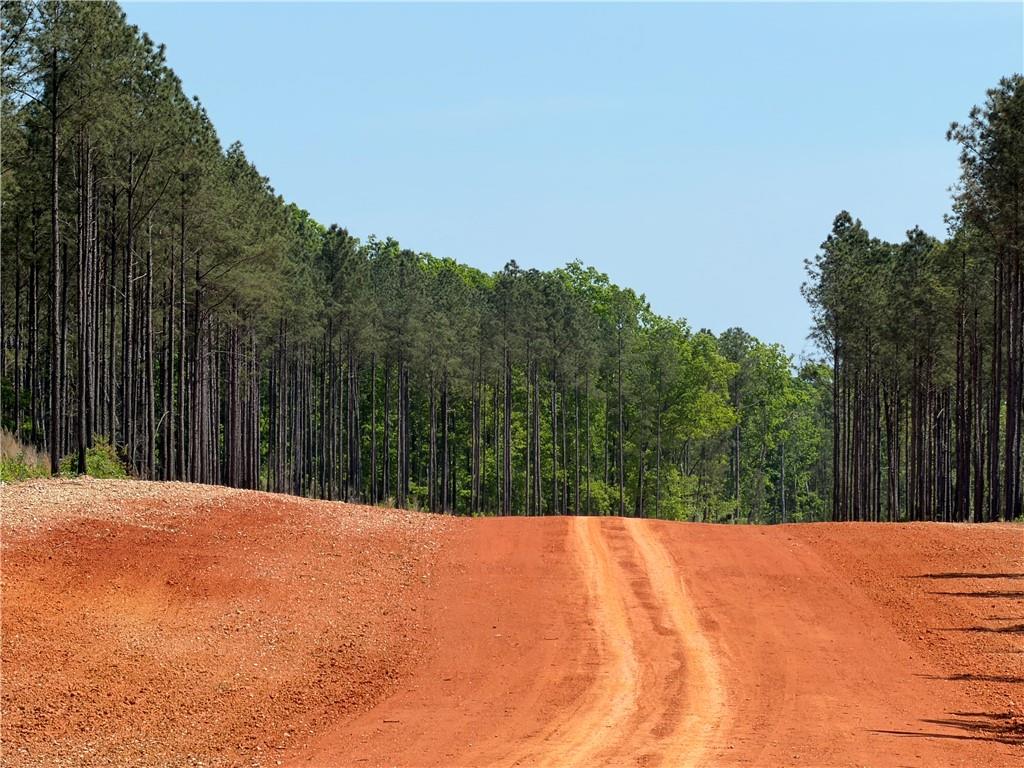 1000 Hidden Harbor Road Lincolnton GA 30817