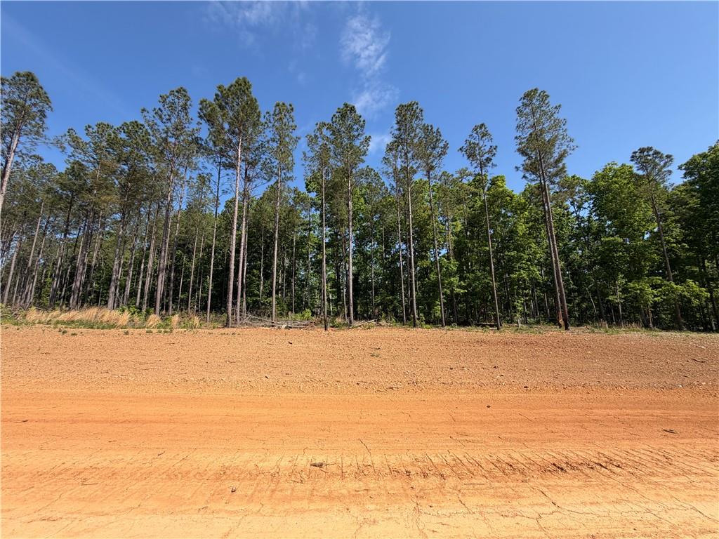 1000 Hidden Harbor Road Lincolnton GA 30817