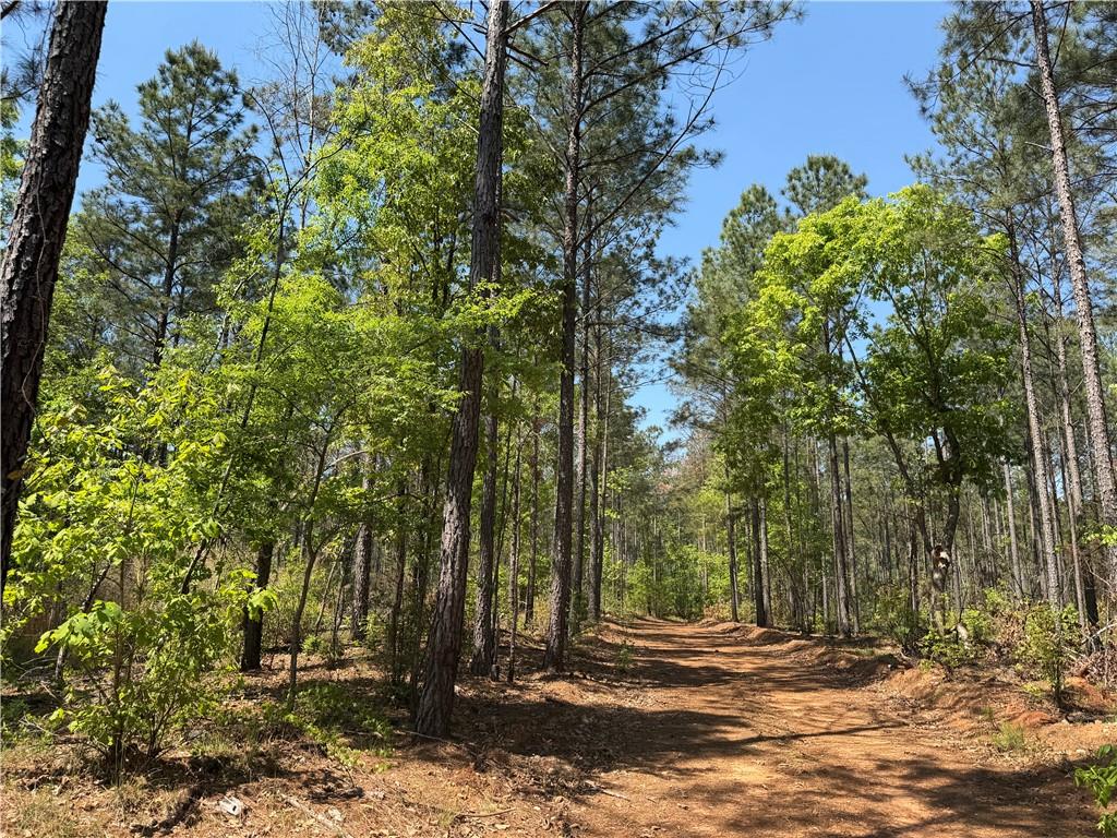 1000 Hidden Harbor Road Lincolnton GA 30817