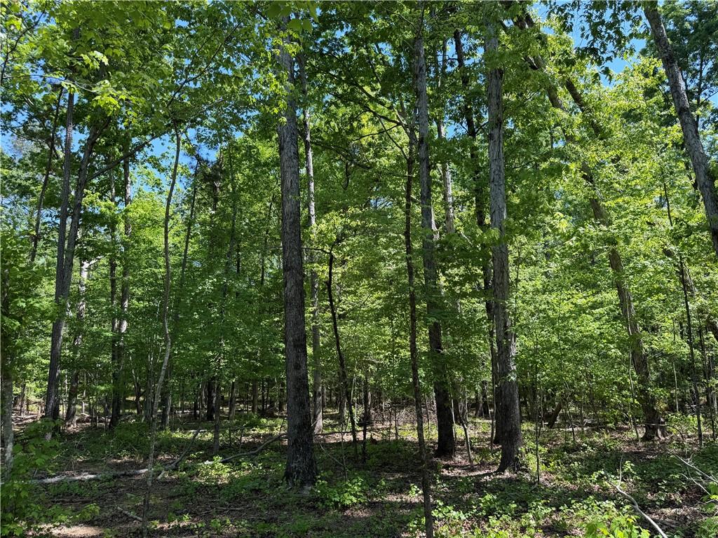 1000 Hidden Harbor Road Lincolnton GA 30817