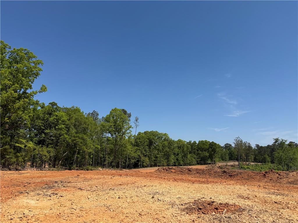 1000 Hidden Harbor Road Lincolnton GA 30817