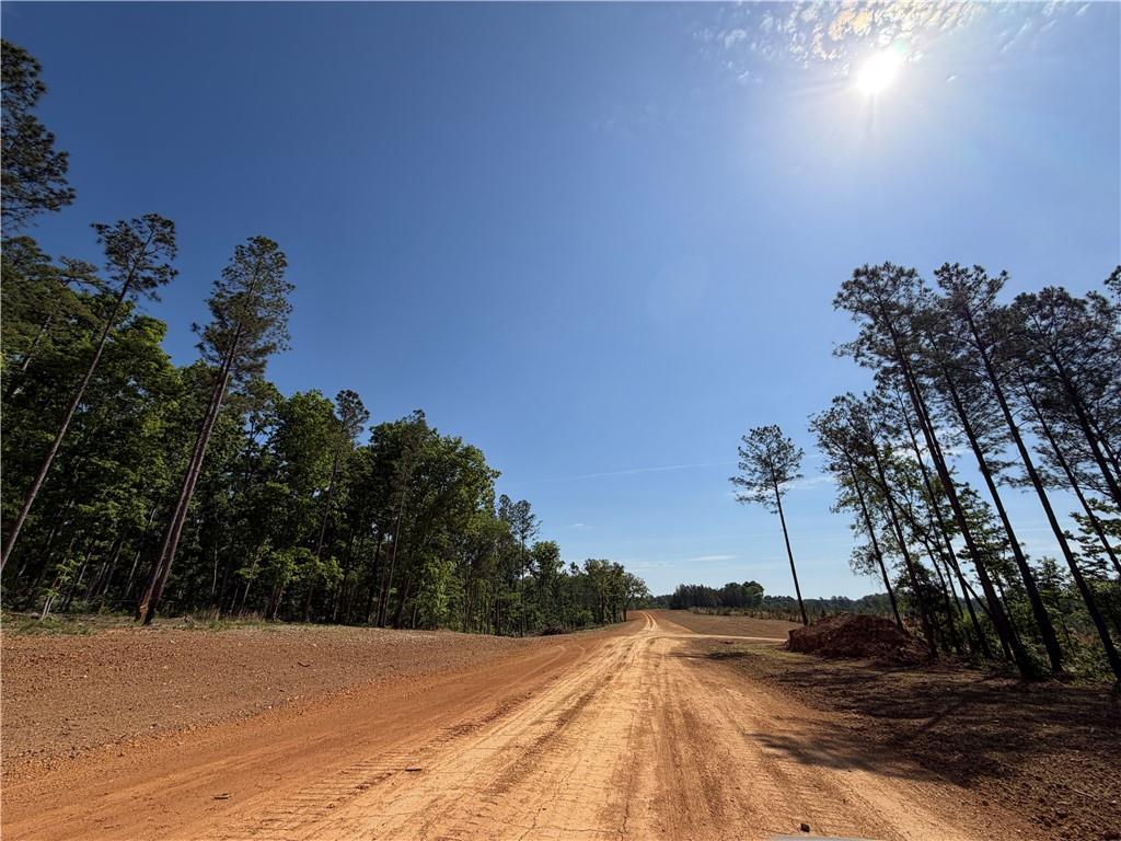 1000 Hidden Harbor Road Lincolnton GA 30817