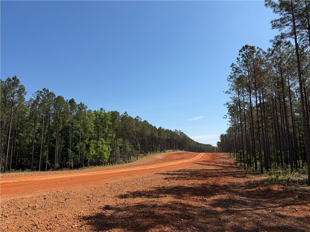 1000 Hidden Harbor Road Lincolnton GA 30817