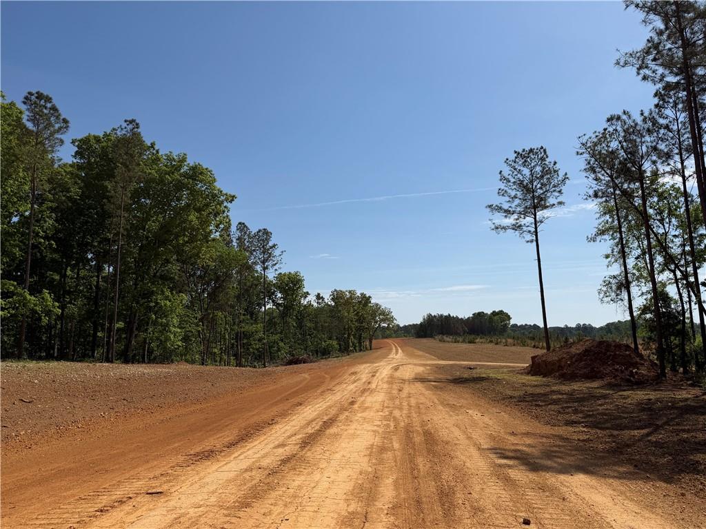 1000 Hidden Harbor Road Lincolnton GA 30817