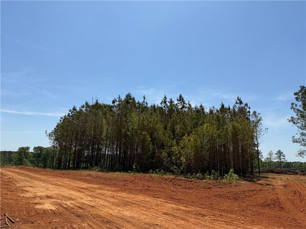 1000 Hidden Harbor Road Lincolnton GA 30817