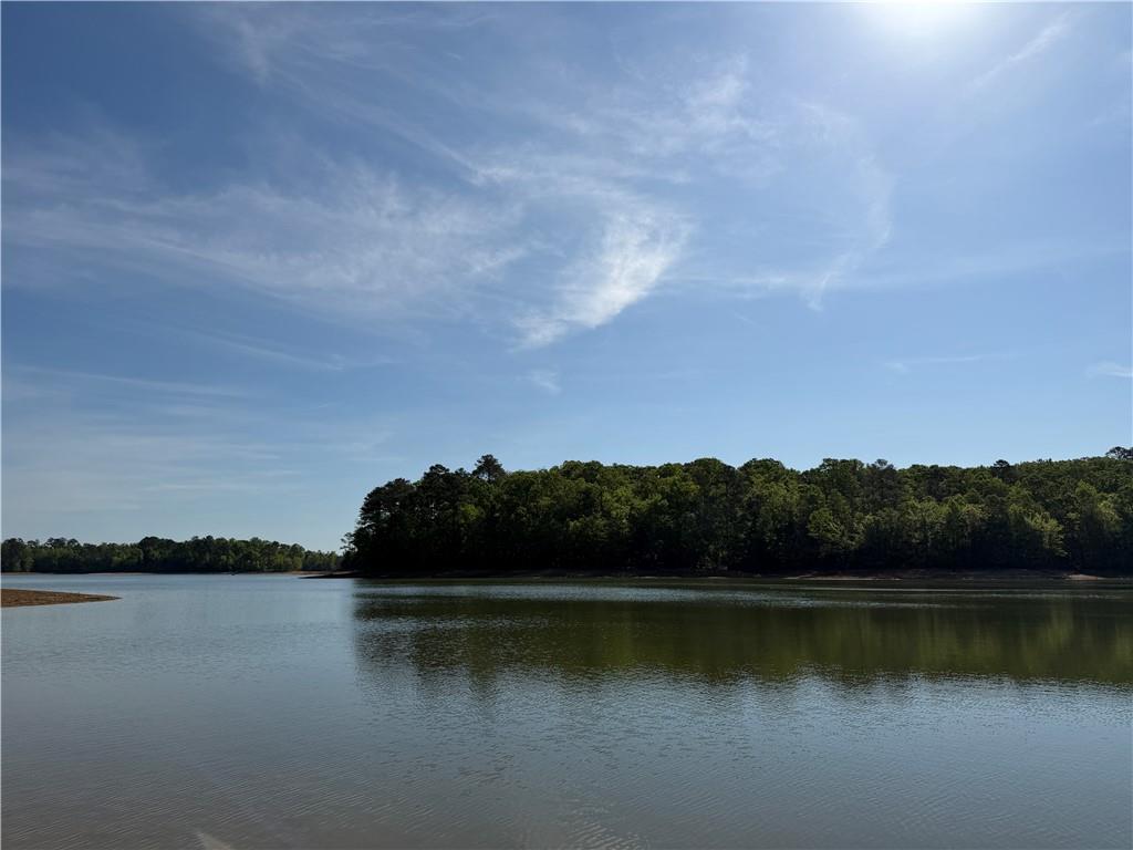 1000 Hidden Harbor Road Lincolnton GA 30817
