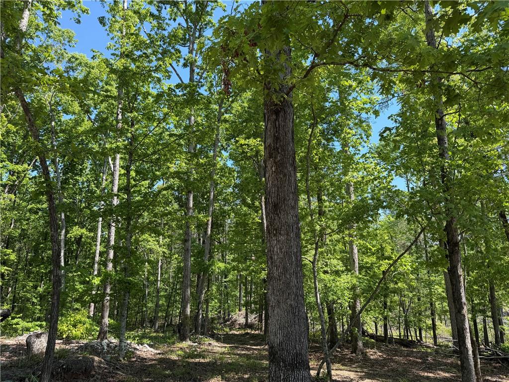 1000 Hidden Harbor Road Lincolnton GA 30817