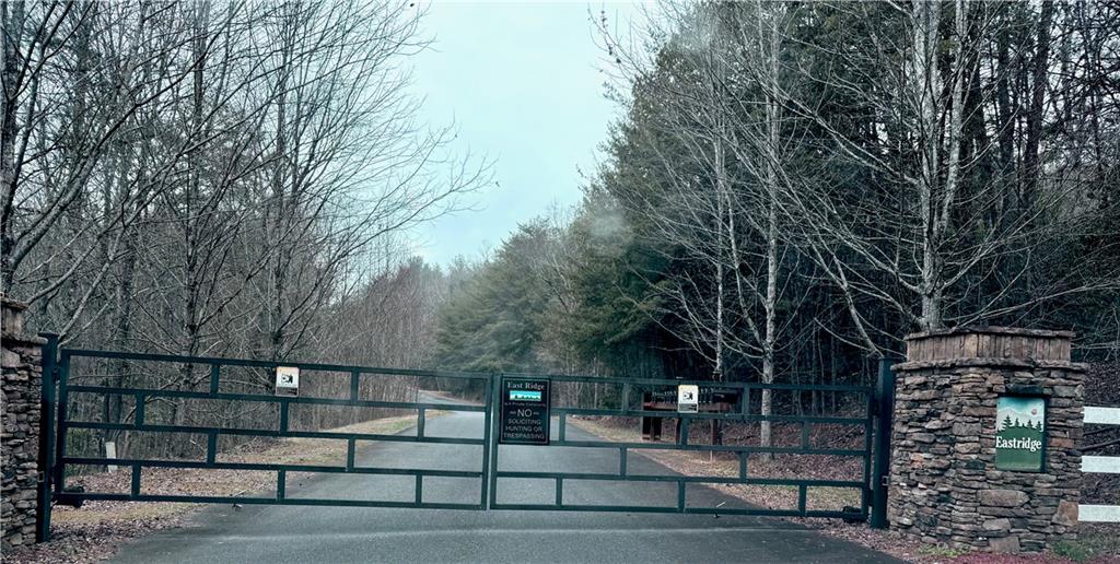 807 East Ridge Lane Ellijay GA 30536