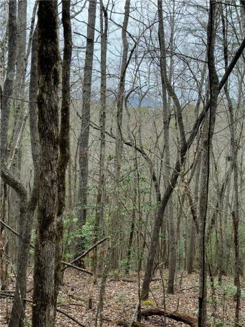 807 East Ridge Lane Ellijay GA 30536