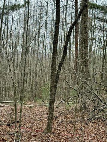 807 East Ridge Lane Ellijay GA 30536
