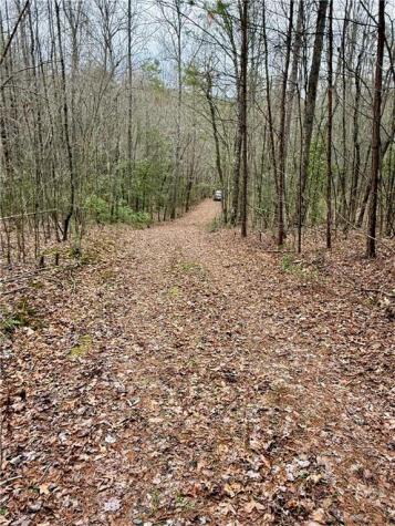 807 East Ridge Lane Ellijay GA 30536