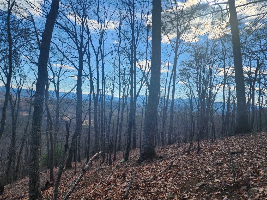 0 Trackrock Gap Road Blairsville GA 30514