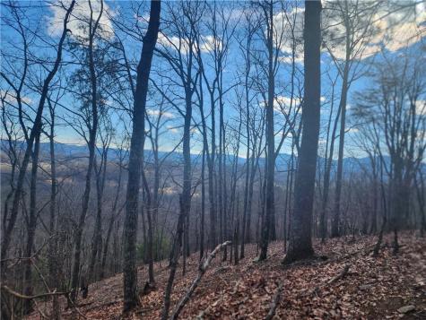 0 Trackrock Gap Road Blairsville GA 30514