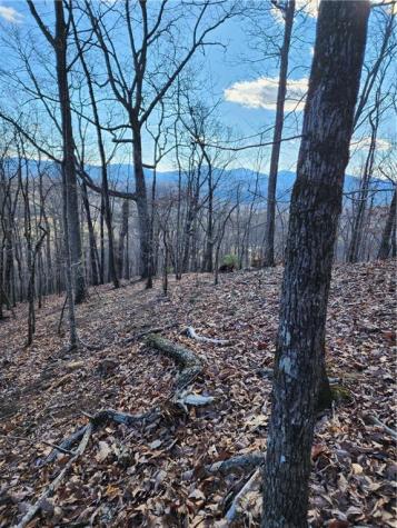 0 Trackrock Gap Road Blairsville GA 30514