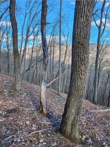 0 Trackrock Gap Road Blairsville GA 30514