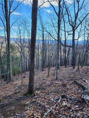 0 Trackrock Gap Road Blairsville GA 30514