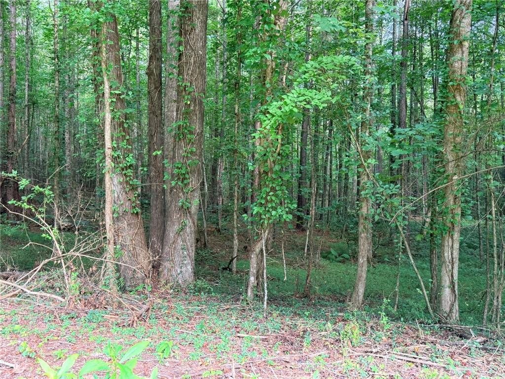 Lot 8 Pettit Road Jasper GA 30143