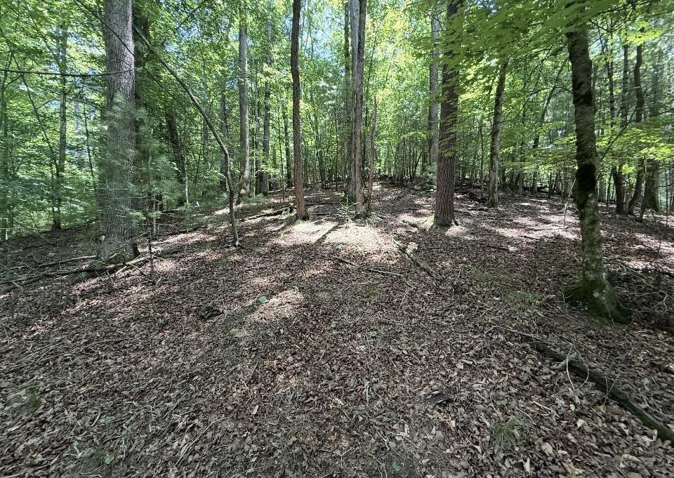 LT2607 Magnet Court Ellijay GA 30540