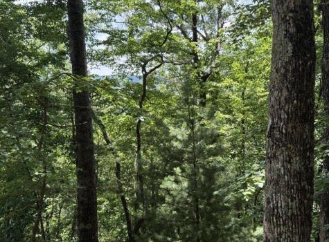 LT2607 Magnet Court Ellijay GA 30540
