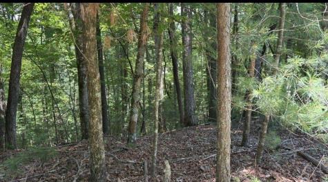 LT2607 Magnet Court Ellijay GA 30540