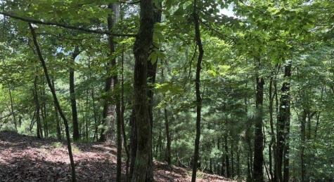 LT2607 Magnet Court Ellijay GA 30540