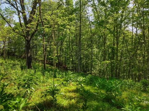 Lot 2 Summit Drive Dahlonega GA 30533