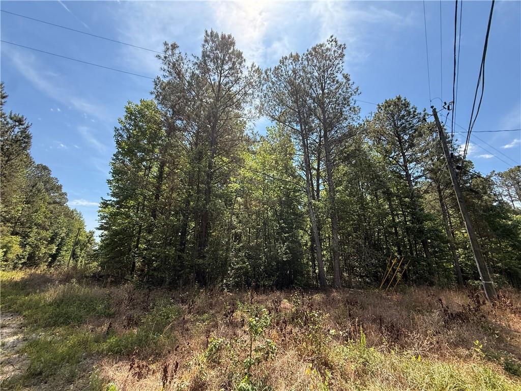 467 N Raburn Road Bremen GA 30110