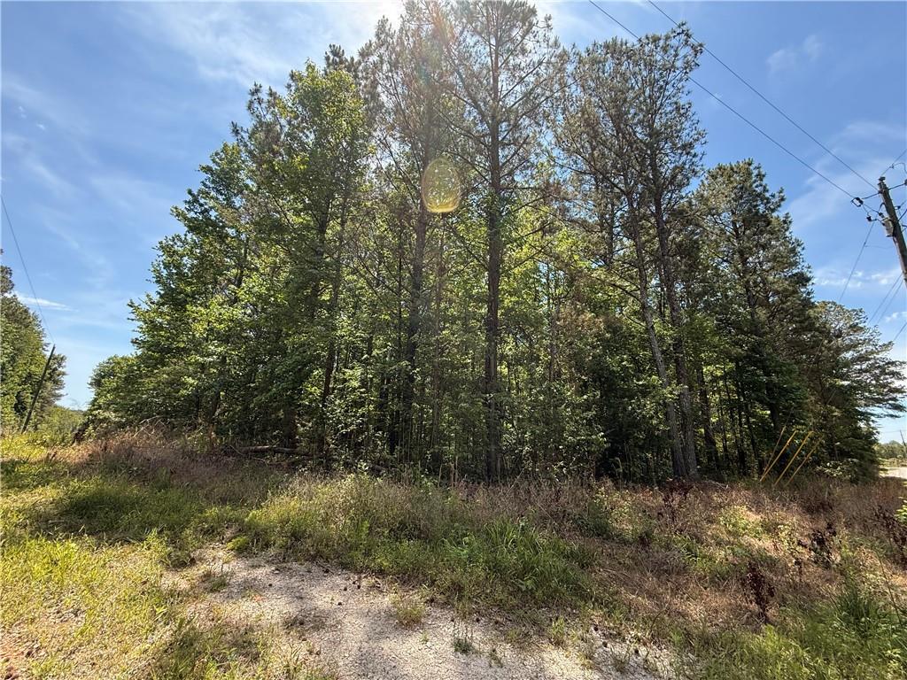 467 N Raburn Road Bremen GA 30110