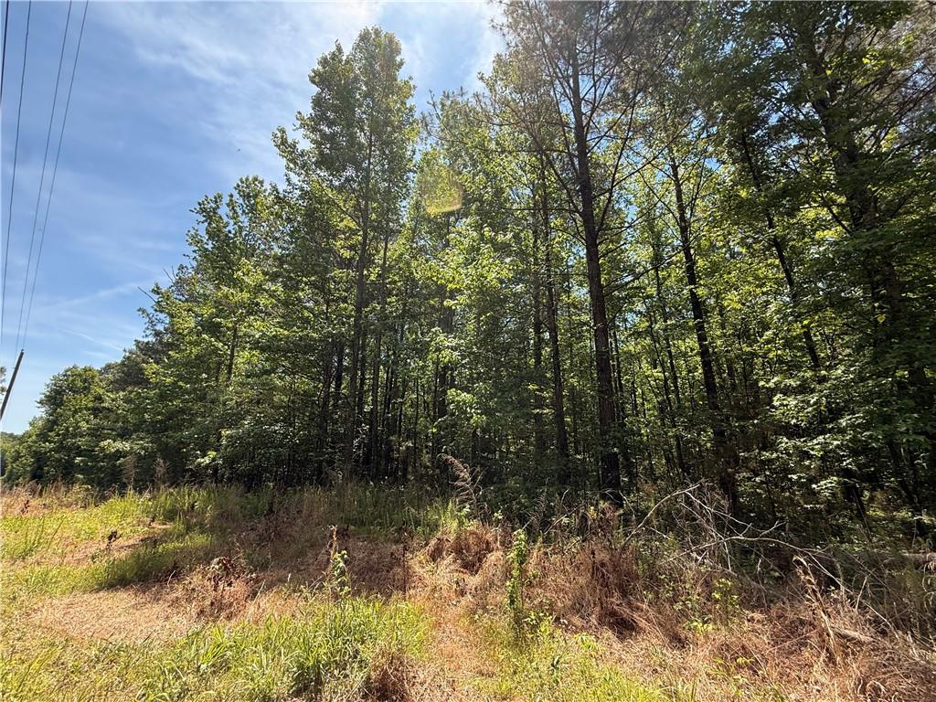 467 N Raburn Road Bremen GA 30110