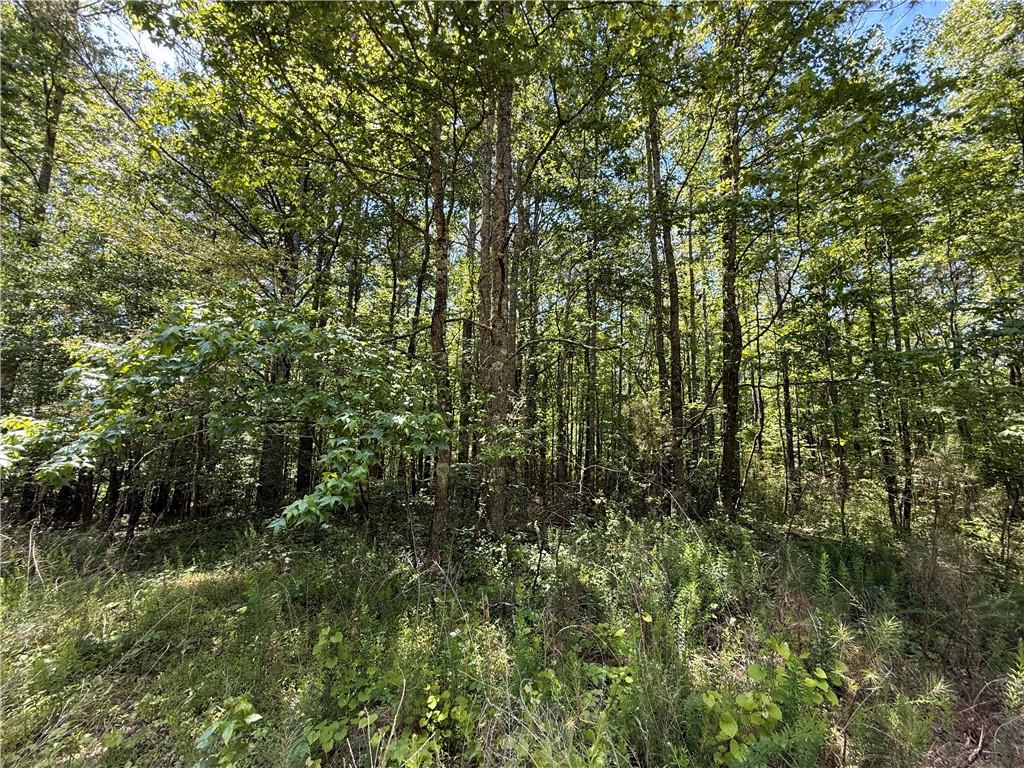 467 N Raburn Road Bremen GA 30110
