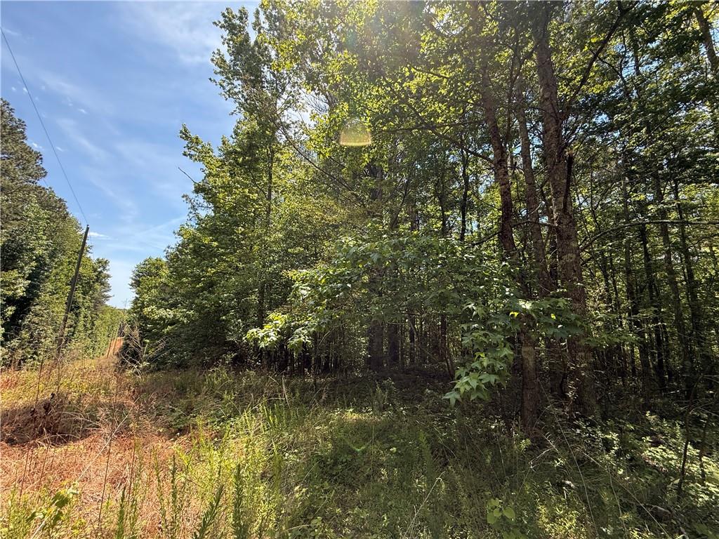 467 N Raburn Road Bremen GA 30110