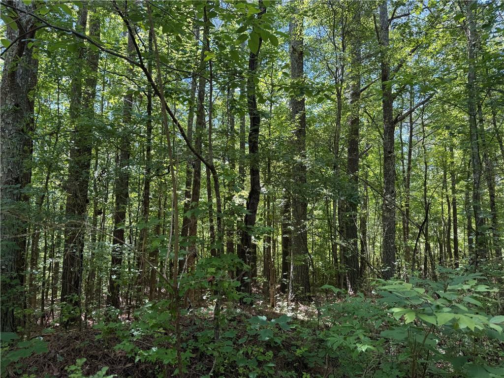 467 N Raburn Road Bremen GA 30110