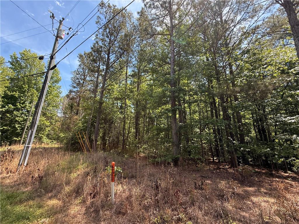 467 N Raburn Road Bremen GA 30110