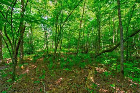 5.31 Tom Bell Odom Road Dahlonega GA 30533