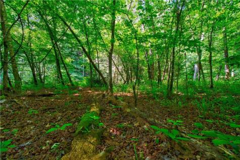 5.31 Tom Bell Odom Road Dahlonega GA 30533