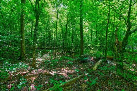 5.31 Tom Bell Odom Road Dahlonega GA 30533