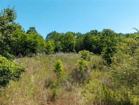 46 Green Kirby Lane Blue Ridge GA 30513