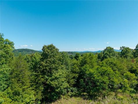 46 Green Kirby Lane Blue Ridge GA 30513
