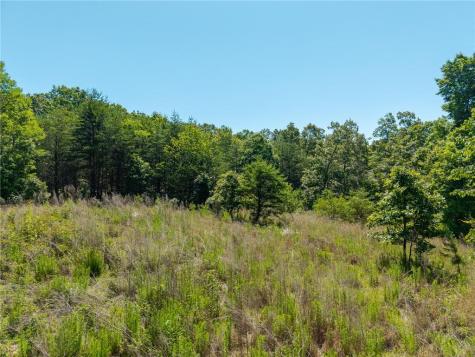 46 Green Kirby Lane Blue Ridge GA 30513