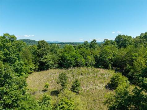 46 Green Kirby Lane Blue Ridge GA 30513